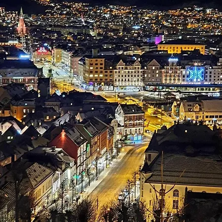Central, Lovely With A Unique View Apartamento Bergen