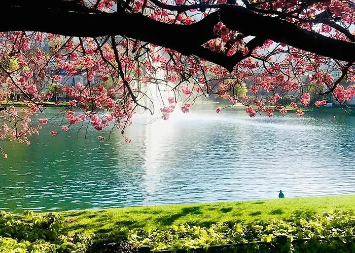 아파트 Central, Lovely With A Unique View