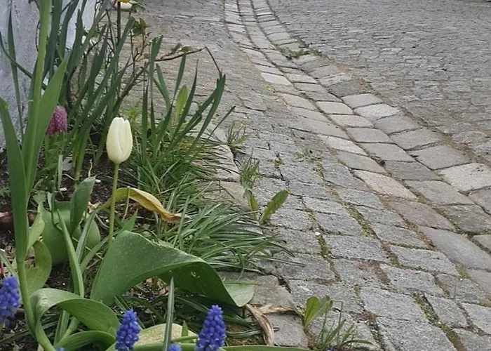 Central, Lovely With A Unique View Διαμέρισμα *